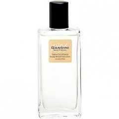 Foglie e Fiori d'Arancio